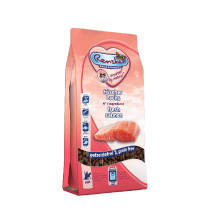 Renske cat SALMON