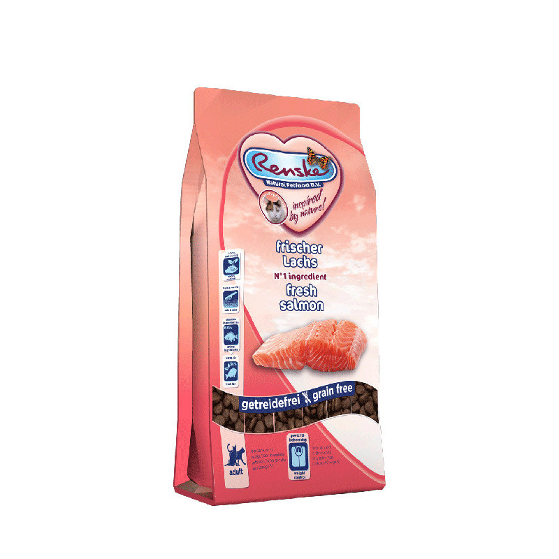 Renske cat SALMON