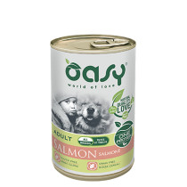 Oasy ŁOSOŚ
