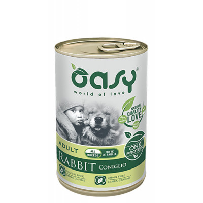 Oasy KRÓLIK