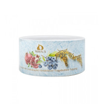 Mirals lody - sorbet z koniny