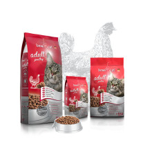 Bewi Cat adult KURCZAK