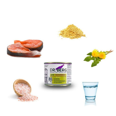 Dr Berg Pro-SCHONKOST dla kotów - nerki