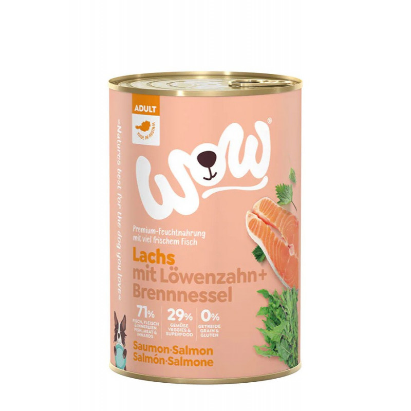 WoW ŁOSOŚ z mniszkiem lekarskim