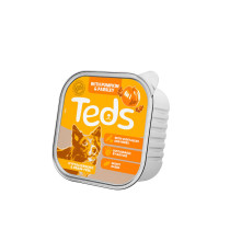 Teds karma mokra z insektów z dynią
