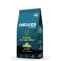 Naturea BASTET cat kitten