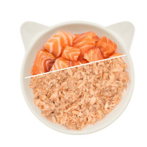 WoW cat filet z ŁOSOSIA