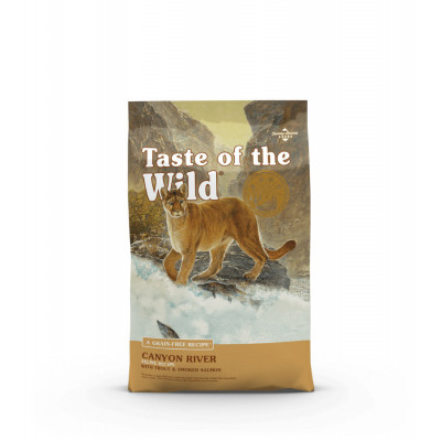 Canyon River feline