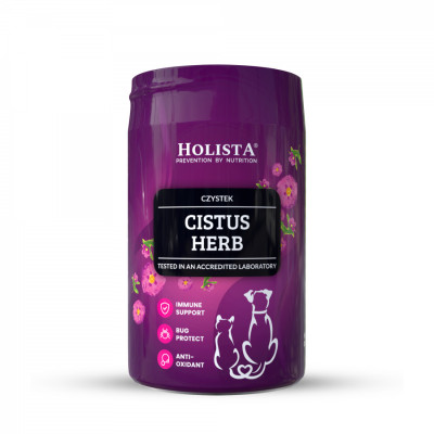 Holista CZYSTEK